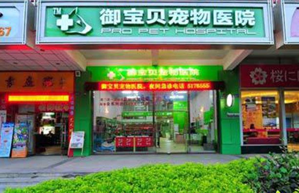 宠物医院
